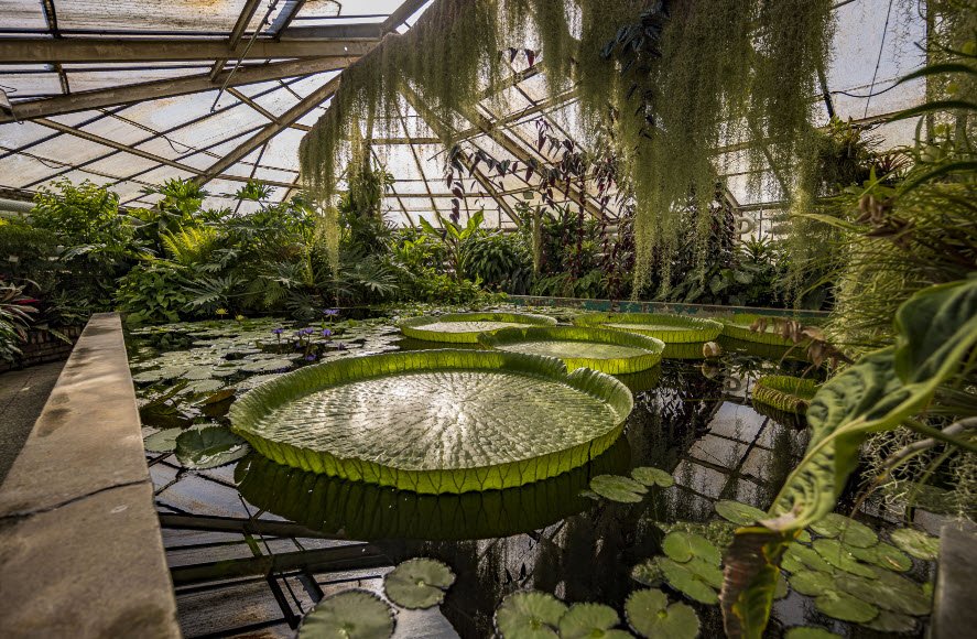 Comenius University Botanical Garden, Bratislava, Slovakia, Slovakia